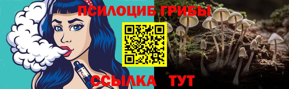 Галлюциногенные грибы мухоморы  Вход с VPN  Лесосибирск 